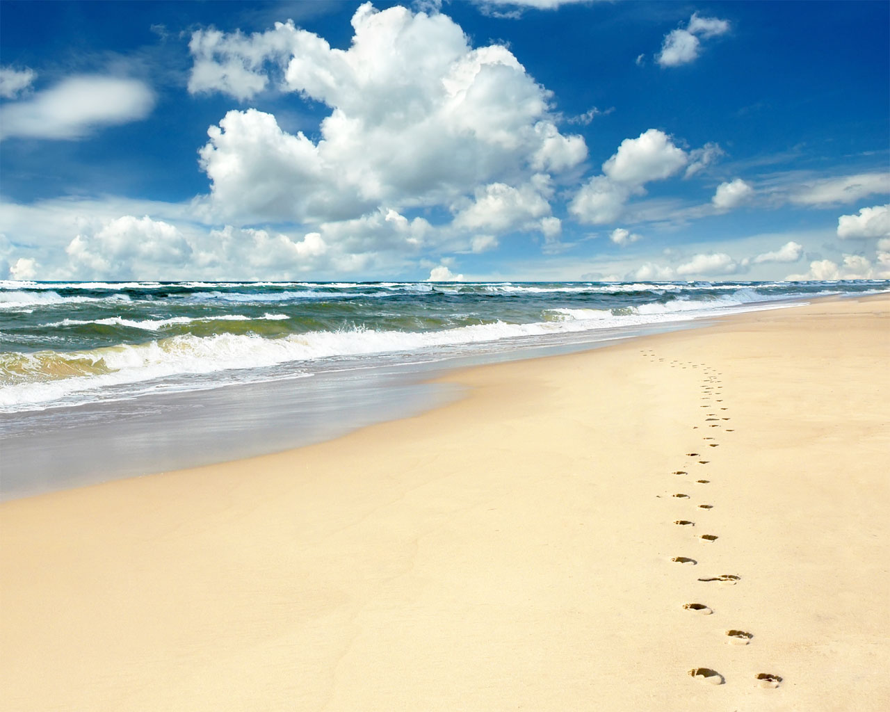 Afbeeldingsresultaat voor aloha beach wijk aan zee